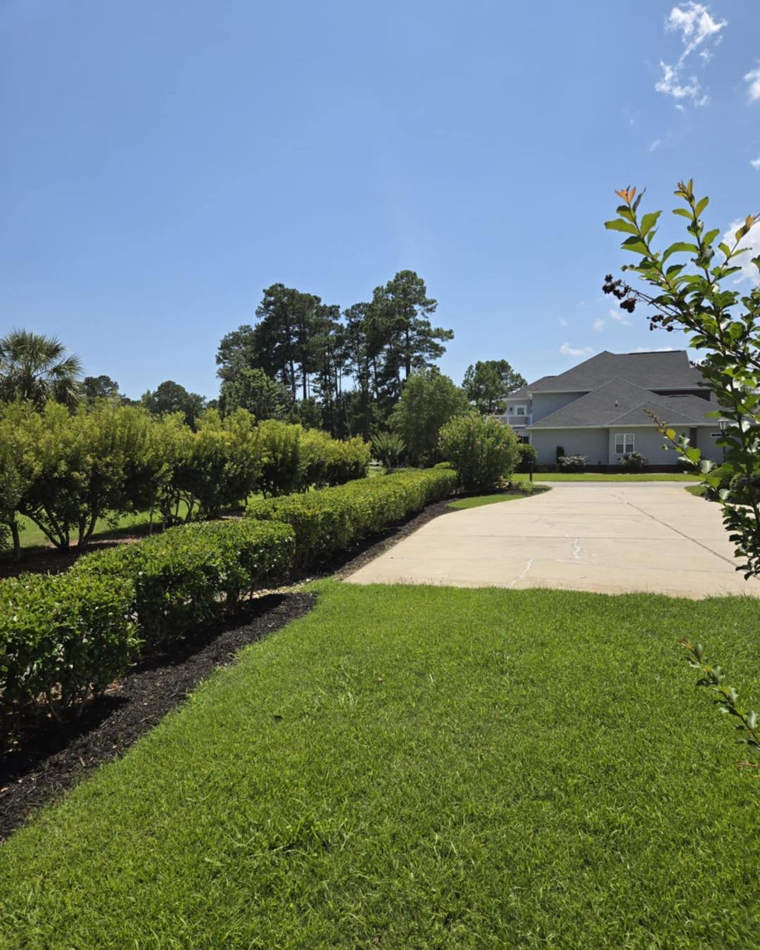 Landscaping tools and fresh mulch in a well kept yard